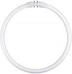 Leuchtstofflampe FC 22 Watt 830 warmwei&szlig; 2GX13 Circular Ringlampe - Osram 22W
