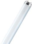 Leuchtstofflampe L 18 Watt 865 - Osram 18W Tageslicht, 1 St&uuml;ck