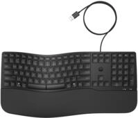 HP 480 Comfort Tastatur mit Kabel (USB-A, Windows, MacOs, Linux), QWERTY Spanisch