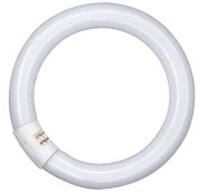 Osram Lumilux T9 C Leuchtstoffr&ouml;hre, G10Q-Sockel, 22 Watt, Kaltwei&szlig; - 4000K