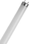 Osram Active Daywhite