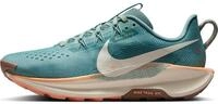 Nike Pegasus Trail 5 Traillaufschuh f&uuml;r Damen, DV3865