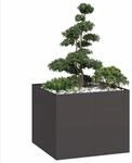 vidaXL Pflanzk&uuml;bel Schwarz 100x100x80 cm Stahl, Pflanzschale,