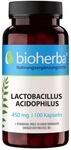 Probiotika mit Lactobacillus Acidophilus & Vitamin B6 &ndash; 100 Kapseln &agrave; 450 mg von