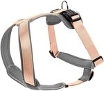 Hunter Hundegeschirr NEOPREN, Farbe: pfirsich/grau, strapazierf&auml;higes Nylon, mit