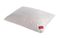 Hefel Pure Silk Kopfkissen Kissen Wildseide (40 x 60 cm)