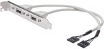 ASSMANN USB Slotblechkabel 2x Typ A - 2x5pin IDC Bu/Bu 0,25m USB 2.0 kompatibel...