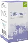Lactobact Junior+ Pulver, 60 g Pulver