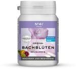Original Bachbl&uuml;ten Kaugummi Nr. 41 Konzentration von Lemon Pharma, Vegan und