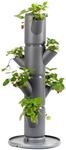 GUSTA GARDEN Sissi Strawberry Erdbeerbaum Starter Anthrazit - Hochbeet System