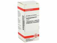 DHU Cardiospermum D2 Tabletten, 80.0 St. Tabletten
