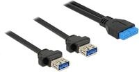 Delock 85244 Kabel Pfostenbuchse, 19 Polig 2X USB 3.0, 2mm schwarz