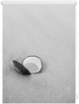 Lichtblick Klemmfix Tageslicht-Rollo mit Motiv, ohne Bohren, Blickdicht,
