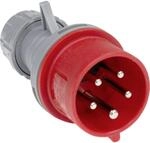 as - Schwabe CEE Phasenwendestecker, 400 V, 16 A, 5-polig, IP44, rot/grau 