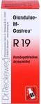 Glandulae M Gastreu R 19 Tropfen zum Einnehmen