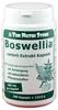 The Nutri Store Boswellia carterii 400 mg Extrakt Kapseln 200 Stk.
