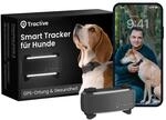Tractive GPS Tracker Hund | 2025 Edition | Live-Ortung | Weglaufalarm 
