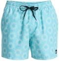 Quiksilver Herren Boardshorts