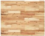 vidaXL Schreibtischplatte &Ouml;lbeschichtung 100x80x4 cm Massivholz Akazie,