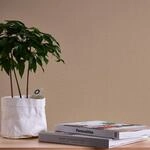 A.S. Cr&eacute;ation Tapete Uni Beige braun Nara 387443 Einfarbig Vliestapete 10,05 m x