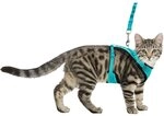 TRIXIE tuig voor Kat mesh y-vorm met elastische riem assorti 36-60x100 cm