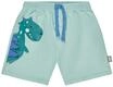 Sterntaler Badeshorts Dino &ndash; Baby- & Kindershorts aus schnelltrocknendem