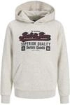JACK & JONES JUNIOR Jjelogo Sweat Hood 2 Col Aw25 Noos Jnr
