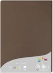Clairefontaine 24292C - Packung mit 25 Karten Pollen 210g, DIN A4, 21 x 29,7cm, Braun