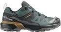 Salomon Shoes X Ultra 360 GTX Ubnchi/B URBAN CHIC/Black/Plantation - 10/44.5