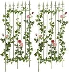 CLP Rankgitter 2er Set Metall 100x50 cm Elisa, Kletterhilfen stabil f&uuml;r Rosen...