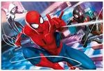 Spider-Man Poster Marvel Peter, Miles & Gwen