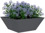 vidaXL Garten-Pflanzgef&auml;&szlig; 5 pcs Anthrazit 40 x 40 x 15 cm, Garten und...