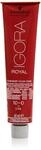 Schwarzkopf IGORA Royal Premium-Haarfarbe 10-0 ultrablond, 1er Pack (1 x 60 g)