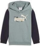 Puma Unisex-Kinder Sandy Adventures Hoodie TR PS Kapuzenpullis, Green Moon,