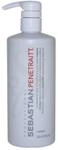 Sebastian Penetraitt Pro Masque 1er Pack(1 x 500 milliliters)