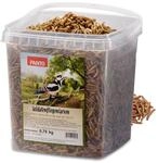 PANTO Soldatenfliegenlarven getrocknet &ndash; 750 g proteinreiches und fettreiches