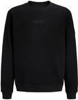 JACK & JONES Jcopoint Sweat Badge Crew Neck Bf Jnr