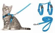 katzengeschirr - Kitten Elza blau - 15-22cm - 20-30cm - Leine 120cm - Nylon