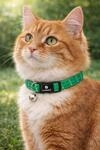 katzenhalsband - Elza gr&uuml;n 20&ndash;34 cm &ndash; elastisches Nylon reflektierend mit