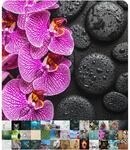 Sanilo Badematte 53 x 53 cm, rutschfeste Duschmatte f&uuml;r Dusche und Badewanne,