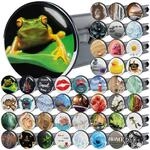 Sanilo Waschbeckenst&ouml;psel Frosch Gr&uuml;n, viele sch&ouml;ne St&ouml;psel f&uuml;r das...