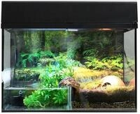 Lucky Reptile Starter Kit Bombina/Pacman, Farbe:Schwarz, Terrarienma&szlig;e...