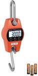 Steinberg Systems 300 kg / 100 g Kranwaage Digitale H&auml;ngewaage kg/lbs/N...