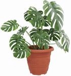 vidaXL Blumentopf rund, 6 St&uuml;ck, ziegelrot, &Oslash; 26 x 21,5 cm, Kunststoff,...