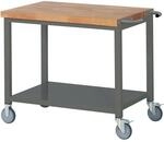 STIER Fahrbare Werkbank Premium mit Ablageboden BxTxH 1000x700x880 mm