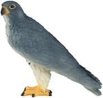 MOJO - Wanderfalke | Handbemalte Spielfigur | Wildlife Collection | Lebensecht &