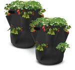 Spetebo Erdbeer Pflanzsack 2er Set aus Filz - 45 x 35 cm - Pflanzbeutel f&uuml;r