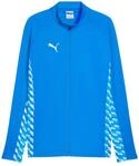 PUMA Herren Teamliga26 Training Jacket Trainingsjacken (1er Pack)