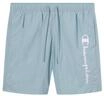 Champion Herren Beachshorts Badehose