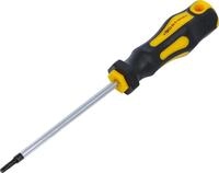 BGS Diy 7844-T15 | Schraubendreher | T-Profil (f&uuml;r Torx) T15 | Klingenl&auml;nge 100 mm